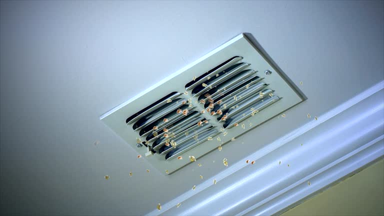 Best Affordable HVAC Duct Cleaning  in Bremen, GA